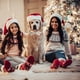 thumbnail image 5 of Collar navideño para perro con pajarita Collar para perro con pajarita Collar para gato, 5 of 5