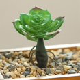 thumbnail image 2 of Coofit Mini Artificial Succulent DIY - Faux Succulent Plant Plastic Greenery Decoration, 2 of 3