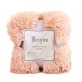thumbnail image 2 of LEEYNEER Soft Fluffy Warm Faux Fur Velvet Bedspread 80x120cm Mint Green, 2 of 10