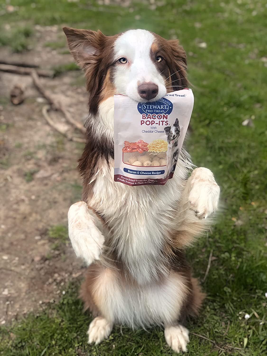 What Dog Treats Are Made In The Usa