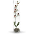 thumbnail image 4 of WGV Cylinder Vase, Diameter 5", Height 24", Clear Glass Floral Planter Container, Tall Centerpiece Arrangement for Wedding Party Event Home Office Decor, 1 Piece, 4 of 7