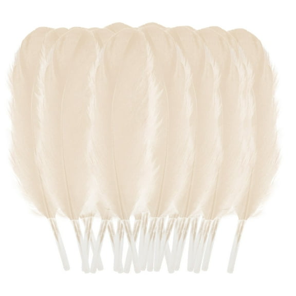 BINGLI 50 Pcs Colourful Plumage for Wedding Party Flower Arrangement Home Decoration Diy Middle Floating Plume for Hair Cat Stick Clothing Craft Decoration Plumage