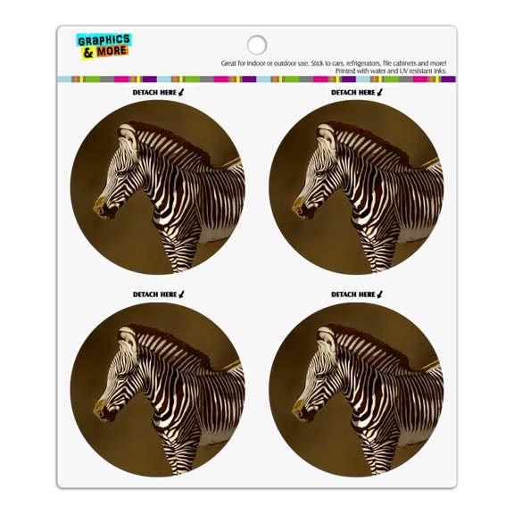 Baby Zebra Young Foal Refrigerator Fridge Locker Vinyl Circle Magnet Set