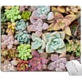 thumbnail image 1 of Succulents Mouse Pads, Natural Plants Mousepad for Design, Non-Slip Rubber Base Mousepad,Custom Rectangle Mouse Mat for Laptop, 1 of 5