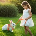 thumbnail image 4 of Rabbit Harness and Leash Set, Double Buckle Bunny Harness with Reflective Strips Soft Breathable Mesh Vest Harness for Rabbits Walks Accessories, 4 of 6