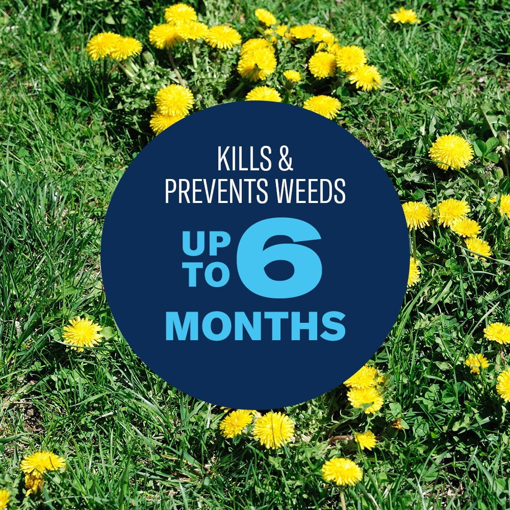 BioAdvanced 3-in-1 Weed & Feed for Southern Lawns Plus Insect Killer, 10lb, Granules