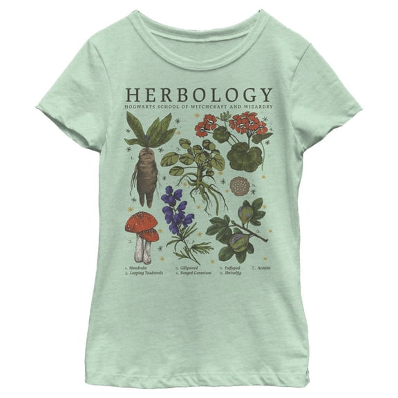 Girl's Harry Potter Hogwarts Herbology Graphic Tee Mint Small