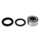 thumbnail image 1 of Sailing Kit de sello de cojinete de rueda delantera para motocicleta ATV Arctic Cat, 1 of 10