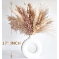 thumbnail image 2 of Pakyozj Dried Pampas Grass Decor, 128PCS Pampas Grass with Bunny Tails Dried Flowers, Reed Grass Bouquet for Wedding, Boho Flowers, Home Table Decor, Rustic Farmhouse Party, 2 of 5