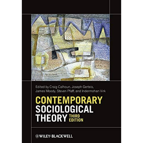 Pre-Owned Contemporary Sociological Theory