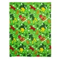 thumbnail image 3 of Busy Elf Warner Bros Kids Silk Touch Throw Blanket, 50 x 70 inches Green, 3 of 6