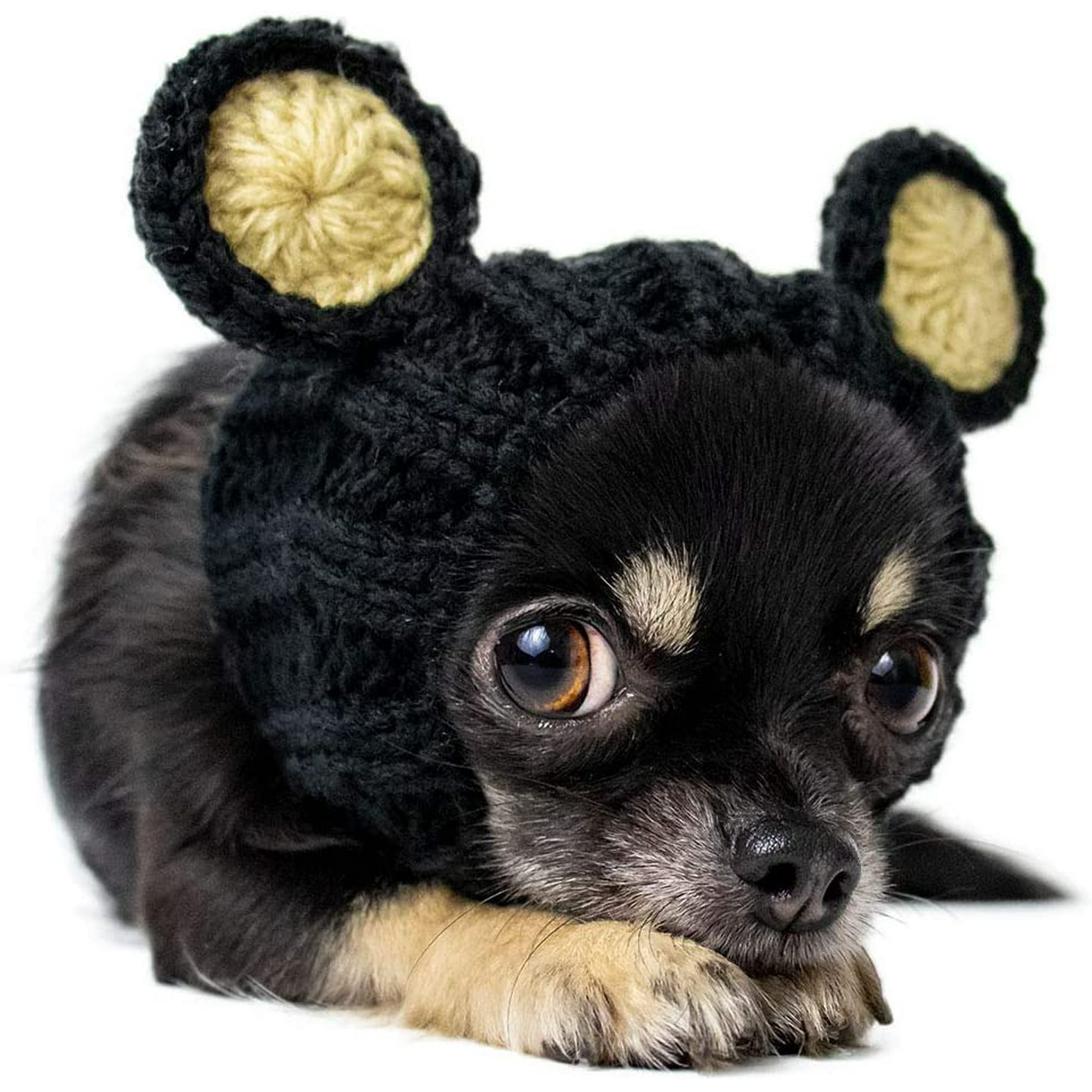 Dog black bear costume hotsell