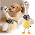 thumbnail image 1 of TIELUTT Interactive for Boredom and Anxiety Chewing Entertainment with for Aggressive Chewers Rope for Medium Dogs Halloween Dog for Aggressive Chewers Cat Entertainment for Home Alone Rope with Bone, 1 of 6