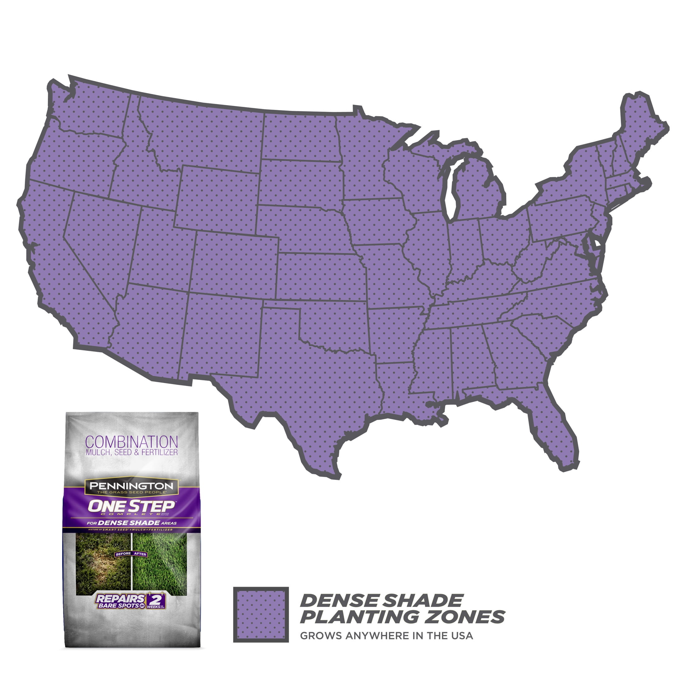 (2 pack) Pennington One Step Complete Dense Shade Patch & Repair Grass Seed Mix, Partial to Full Shade, 5 lb.