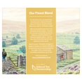 thumbnail image 2 of Yorkshire Black Tea Gold 80 Bags, 2 of 5