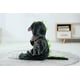 thumbnail image 3 of Ropa infantil ca ropa infantil linda capucha infantil si ropa animal 18 - 24 meses, 3 of 4