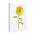 thumbnail image 2 of Trademark Fine Art 'Floursack Florals on White II' Canvas Art by Danhui Nai, 2 of 3