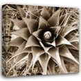 thumbnail image 1 of Bob Stefko 15x15 Gallery Wrapped Canvas Wall Art Titled - Desert Plants I, 1 of 4