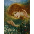 thumbnail image 2 of Henry John Stock 15x18 Black Ornate Wood Framed Double Matted Museum Art Print Titled - Discovering Daisies (1887-96), 2 of 5