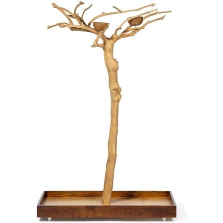 Asian Fusion CoffeeWood Tree-Style Parrot Play Stand with Natural Design, Durable Perches, Feeding Bowls, and Spacious Activity Area for Birds