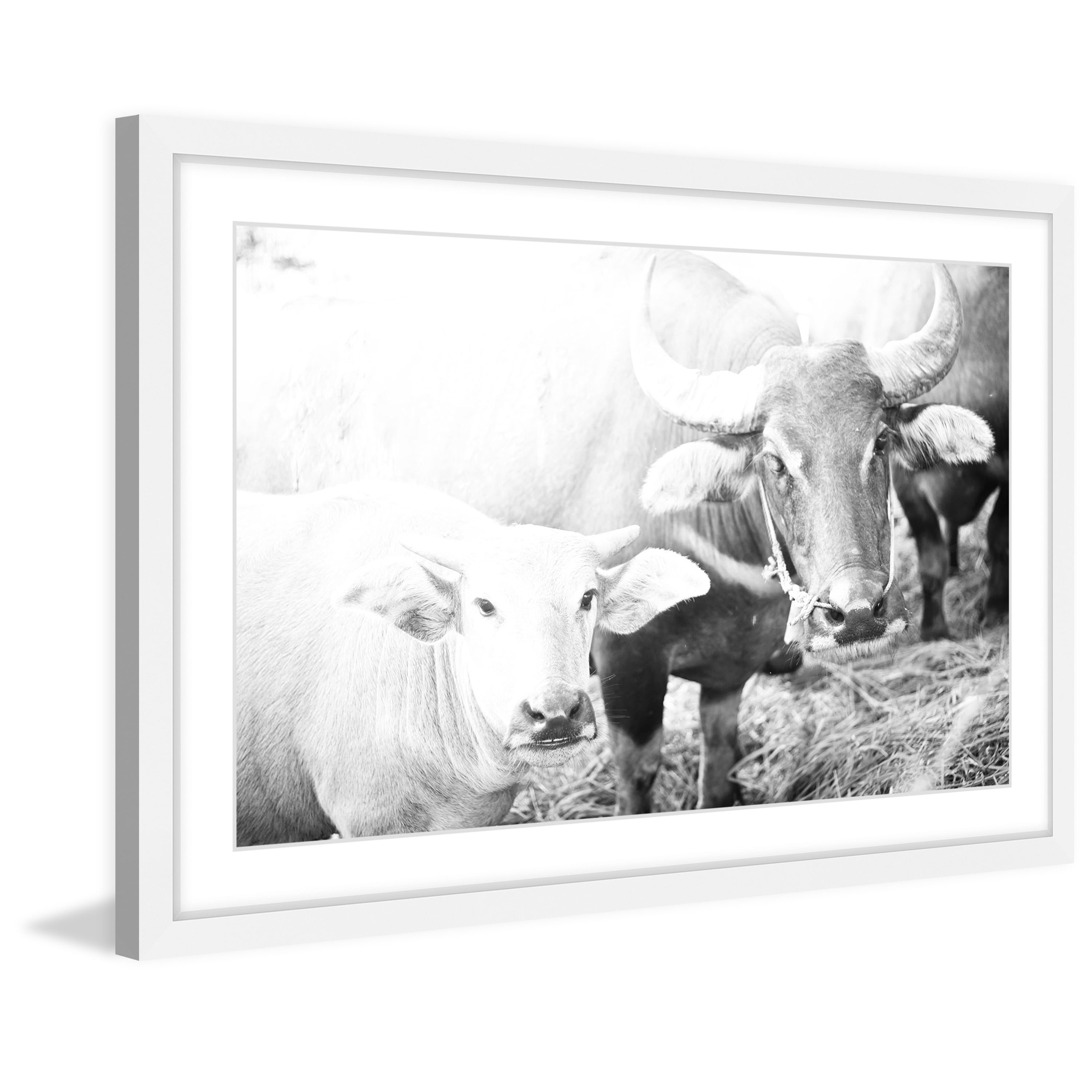 Marmont Hill "Bovine Pair" Framed Painting Print