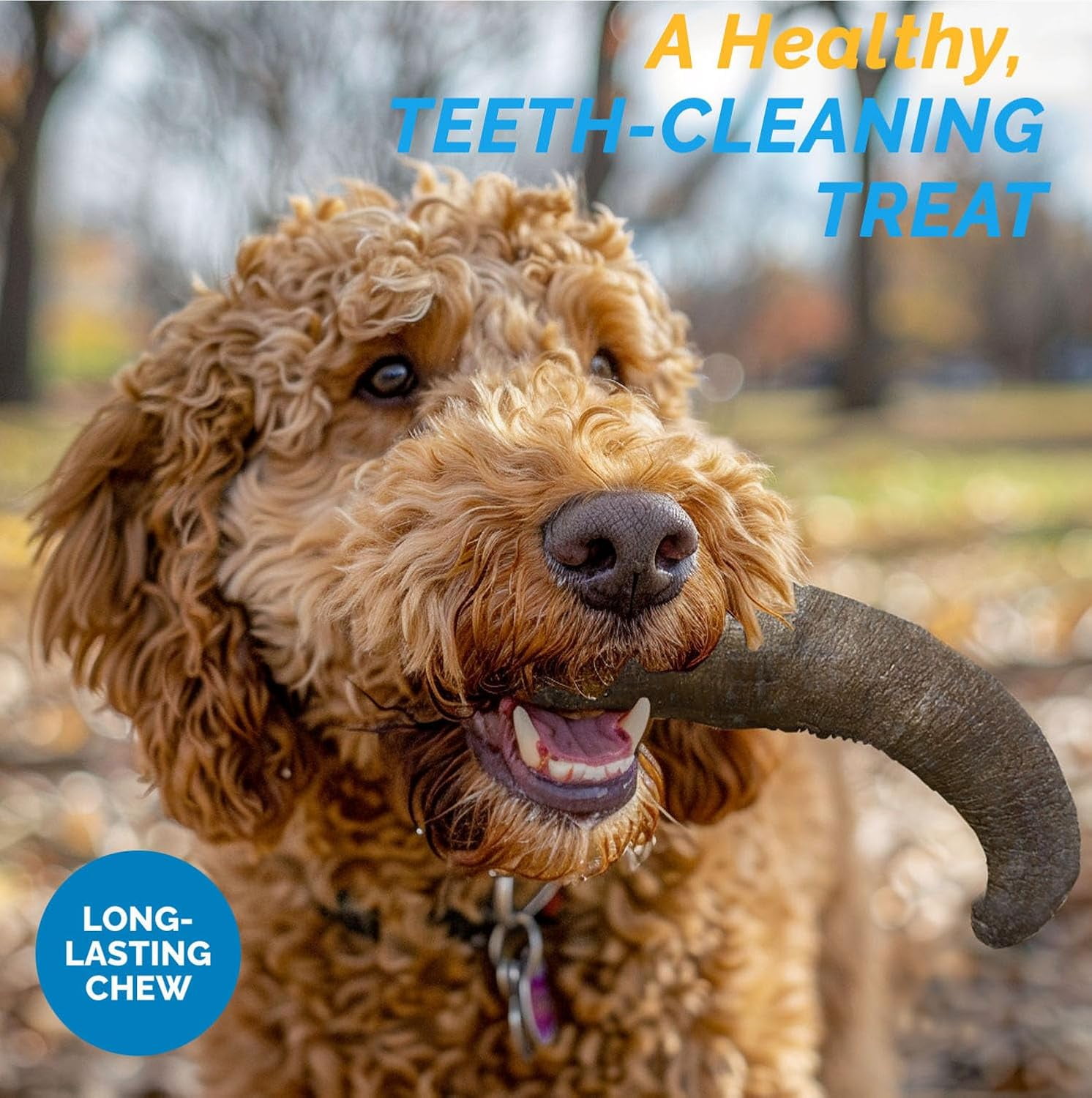 Buffalo Horns for Dogs – Small (3 Count), Long Lasting Chew Dog Treats, 100% Natural Horn for Aggressive Chewers, Rich in Protein & Low in Fat | Promotes Dental Health (5-7 Inches)