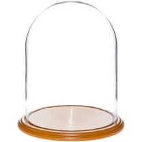 Plymor 11.75" x 15" Glass Display Dome Cloche (Oak Veneer Base)