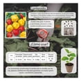 thumbnail image 3 of Semillas Chile Habanero Vita, 3 of 5