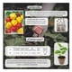 thumbnail image 3 of Semillas Chile Habanero Vita, 3 of 5