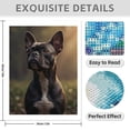 thumbnail image 3 of Diamond Art Kit for Adults, Charming French Bulldog Portrait Diamond Painting for Adults Beginners, 5D DIY Diamond Art Painting Kits, Colorful Diamond Painting Craft for Home Decor 12x16, 3 of 7