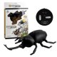 thumbnail image 1 of Electric Ride Toys RC Beetle Beetle Model Beetle Toy Remote Controller Beetle, 1 of 2