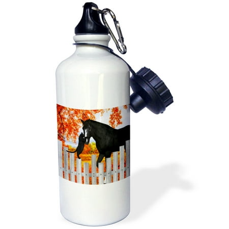 

3dRose Precious black cat and black horse sharing a moment of friendship behind a picket fence in autumn. Sports Water Bottle 21oz