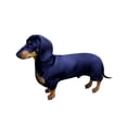 thumbnail image 2 of CafePress - Mini Dachshund At Attention Throw Blanket - Soft Fleece Throw Blanket, 50"x60" for All Ages, 2 of 4