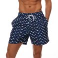 thumbnail image 1 of AIHOME Swimming Shorts Flamingo Beach Trunks For Men, 1 of 9