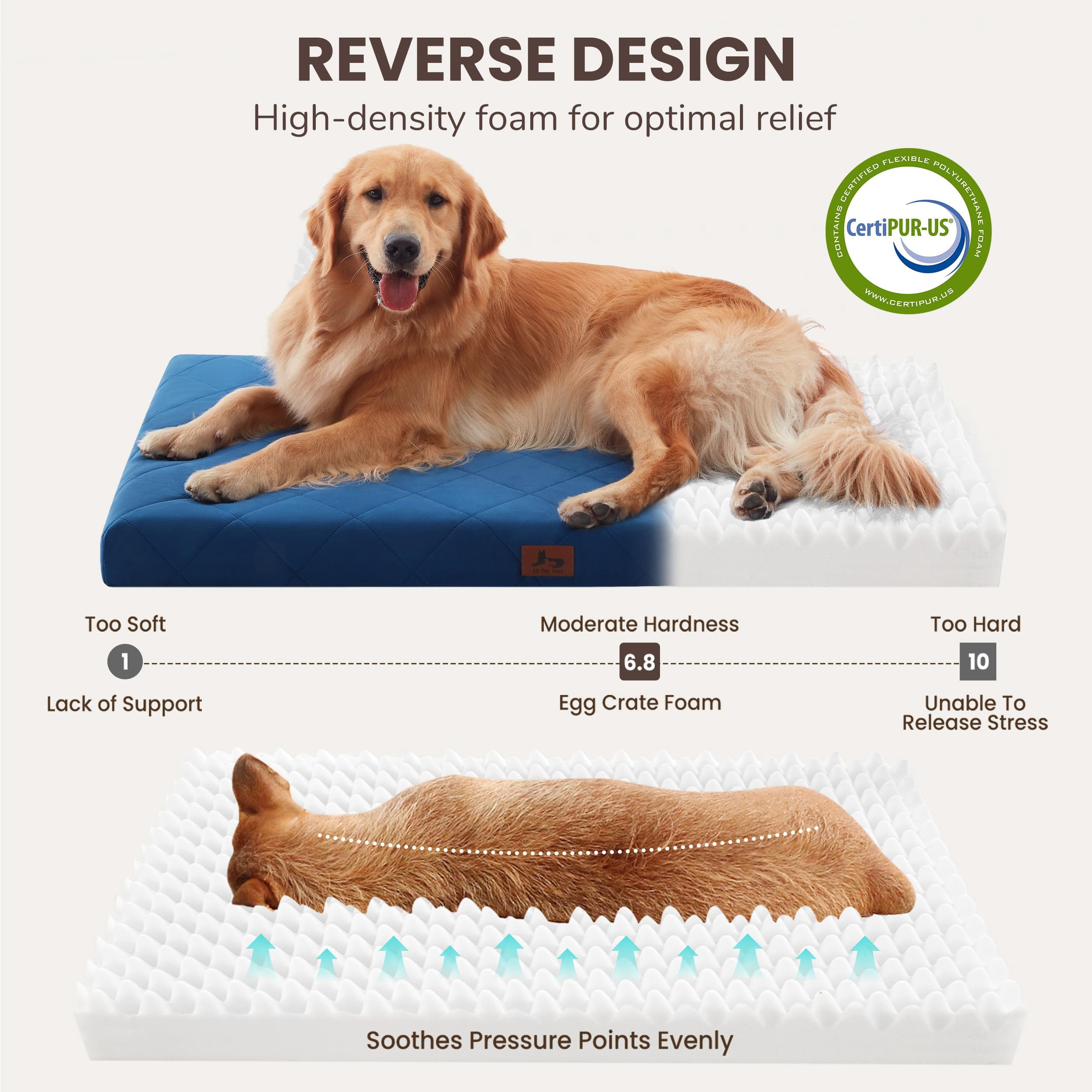Dog Beds For Large Medium Dogs  Washable Pet Bed Mat With Removable Cover Waterproof Egg Crate Foam Puppy Anti Slip 36" X 27" Not Chewers