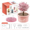 thumbnail image 1 of Crystal Growing Kit For Kids Science Kits For Kids Grow Crystal Science, 1 of 4
