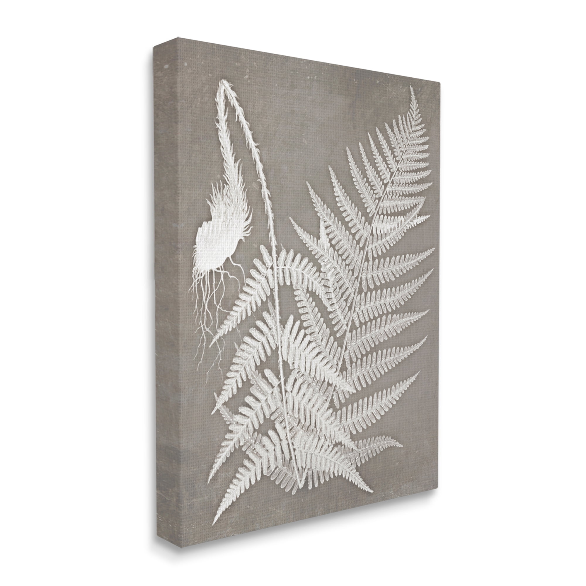 Stupell Industries Layered Botanicals Fern Leaves Nature Vegetation Graphic Art Gallery Wrapped Canvas Print Wall Art, Design by Graffitee Studios