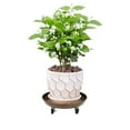thumbnail image 2 of 16" Movable Planters Round Flowerpot Tray Planter Flower Pot with 360° Wheels, 2 of 24