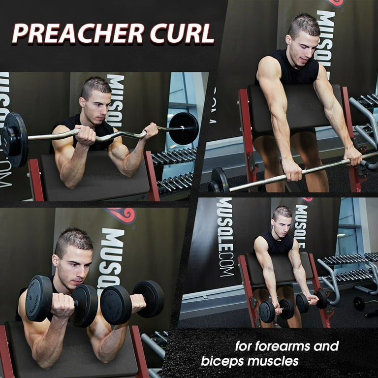 Seated dumbbell store preacher curl