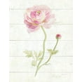 thumbnail image 2 of Gango Home Decor Shabby-Chic June Blooms I & II by Danhui Nai (Printed on Paper); Two 11x14in Unframed Paper Posters, 2 of 5