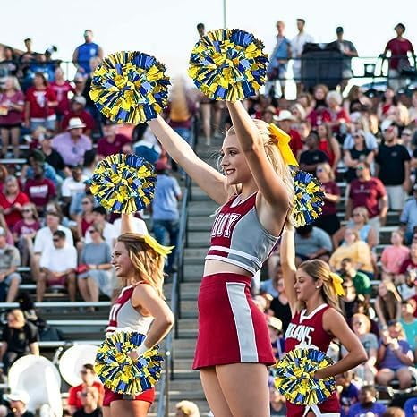 Metallic Cheerleading Pom Poms, 6Pcs Cheerleaders Cheer Pom Poms with Baton Handle, Cheering Squad Hand Flower