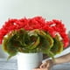 thumbnail image 5 of pstuiky Flores artificiales, flores de manzano silvestre, decoración del hogar, decoración de hoteles, arreglos florales, decoración de bodas, plantas verdes, flores artificiales, 5 of 6