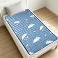 thumbnail image 1 of EGNMCR Reversible Mattress Protector A Thin Non-slide Polyester Mattress Protector Suitable For Home And Dorm Use Equipment Washable And Comfortable Against The Outer Double sided polyester fabric pad, 1 of 6