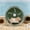 Green, variant on Silent Running Wheel for Hamster Cage, QQZ Quiet Exercise Wheel with Non Slip Track, Plastic Small Animal Wheel for Gerbils Mice Accessories, Blue