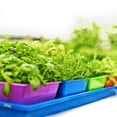 thumbnail image 3 of Bootstrap Farmer 5x5 Seed Tray Green - 40 Pack - Extra Strength 5 x 5 Inserts Grow Microgreens, Wheatgrass Seeds, Fodder 1020 System 801 Trays, 3 of 5