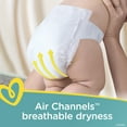 thumbnail image 6 of Pampers Swaddlers Newborn Diapers, Soft and Absorbent, Size 1, 32 Ct, 6 of 12