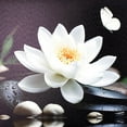 thumbnail image 6 of Zen Wall Art White Flower and Butterfly on the Stone Spiritual Relxing Scenery Framed Wall Art Calming Yoga Spa Canvas Wall Art for Living Room Bedroom Bathroom Wall Decor,16x12 Inch, 6 of 6