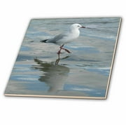 Seagull Wading at the Ocean s Edge Whangaparaoa New Zealand 4 Inch Ceramic Tile ct-22814-1