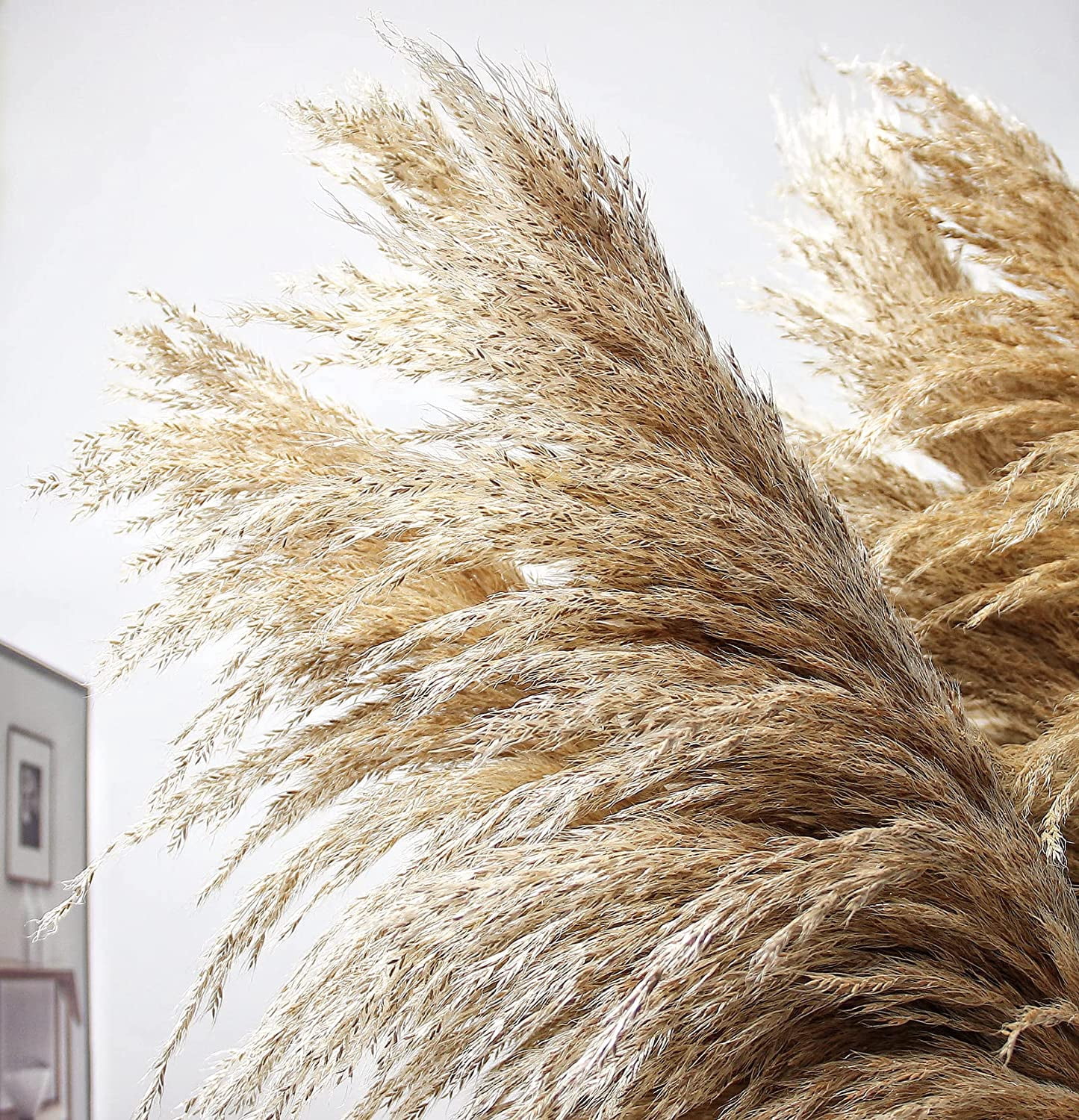 46" inch 10 Stems Natural Pampas Grass Decor Tall, Pompas Grass, Tall Pampas Grass for Weddingm, Farmhouse,  Home Decor (Brown)