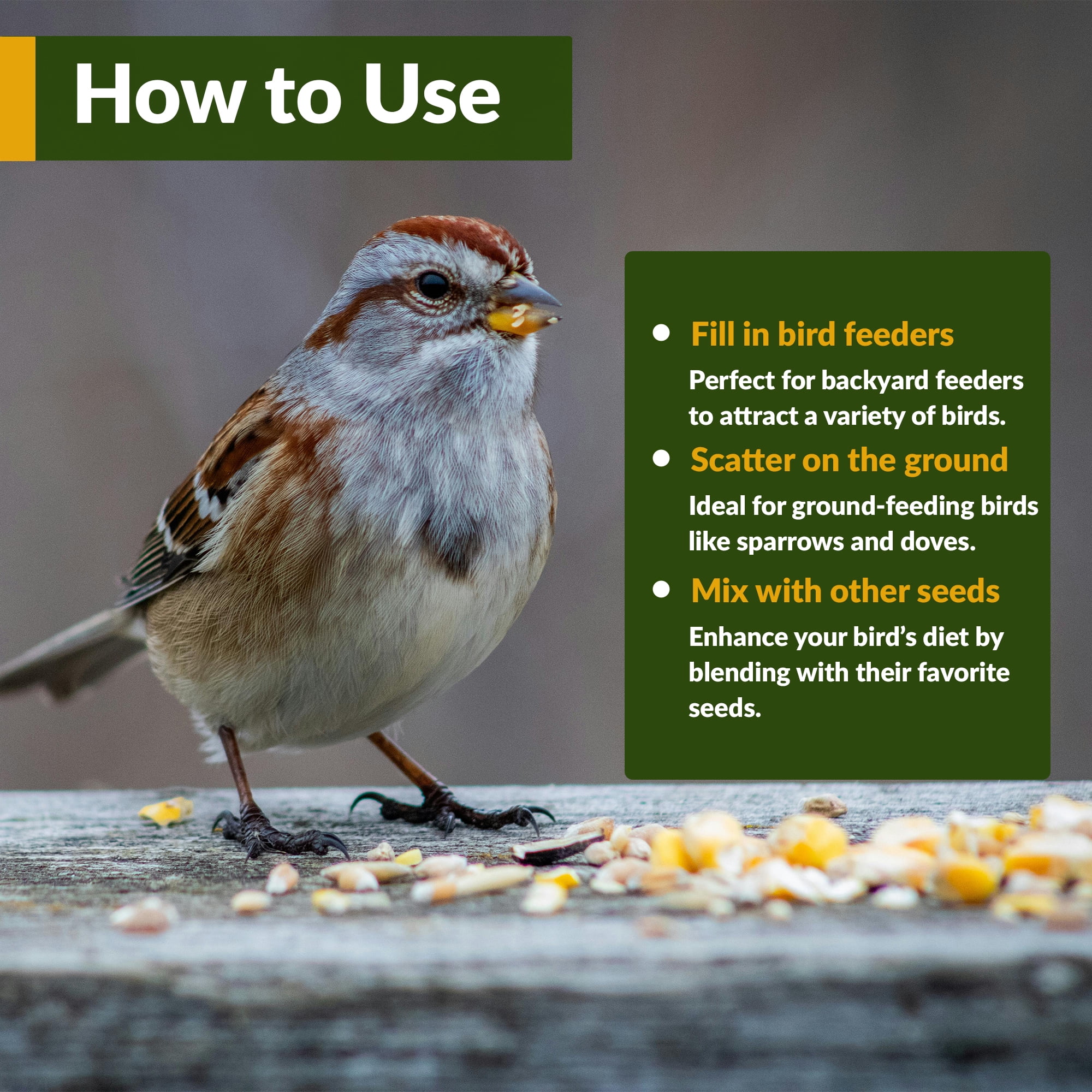 Old Potters Wildlife White Millet Attracts Birds and Wildlife – Non-GMO, Gluten-Free, Nutrient-Rich Bird Seed Mix 25 LBS